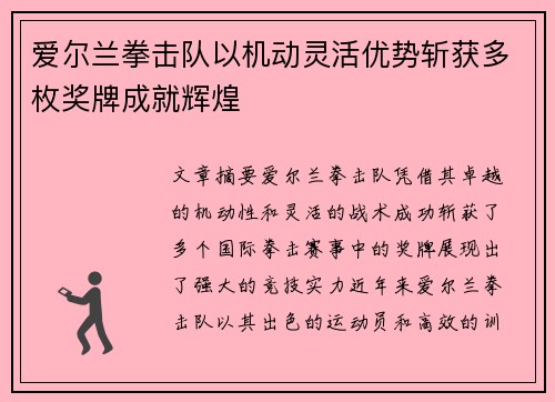 爱尔兰拳击队以机动灵活优势斩获多枚奖牌成就辉煌